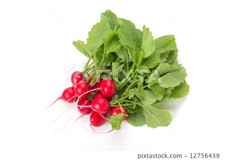 Radish 12756439