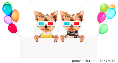 dog going to the movies with banner 12757012