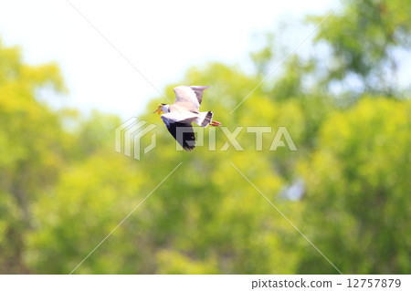 Counterbore Counterbore 12757879