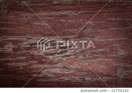 Texture and pattern of old  log 12758142