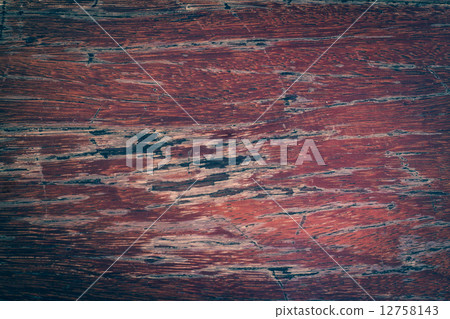 Texture and pattern of old  log 12758143