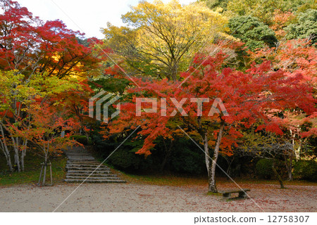 Konoyagi Park Konoyagi Park 12758307