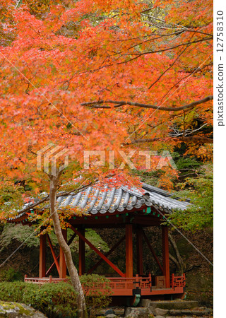 Hokkaidatei 12758310