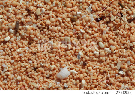 明星的沙子 明星的沙子 12758932