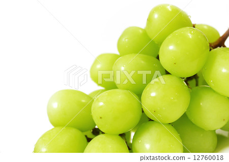 閃耀馬斯喀特 12760018