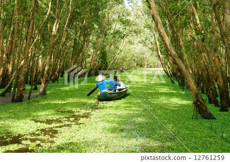 Tra Su indigo forest, Vietnam ecotourism 12761259
