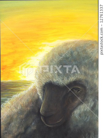 Sheep illustration 12761337
