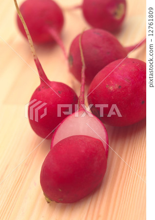 fresh raddish fresh raddish 12761809