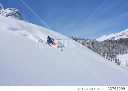 Skiing 12763009