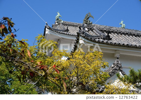 伊賀上野城堡在初秋 12763422