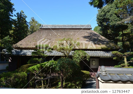 Ueno Ueno Ueno Park in early autumn 12763447