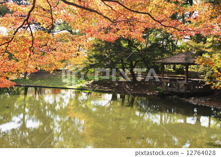 Nagisa no Mori Pond 12764028