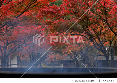 Autumn leaves of Mt. Kannon Autumn leaves of Mt. Kannon 12764238