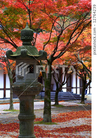 Mt. Kannon秋葉 12764239
