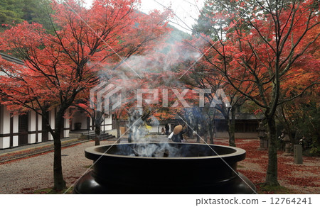 Mt. Kannon秋葉 Mt. Kannon秋葉 12764241