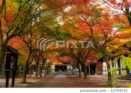 Mt. Kannon秋葉 12764242