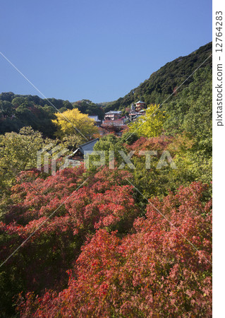Autumn leaves Shin-yama 12764283