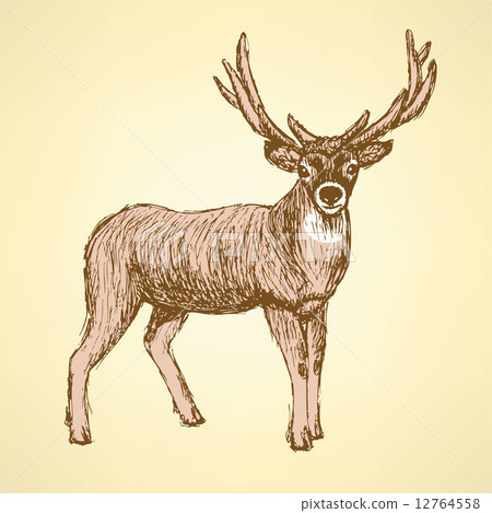 Sketch cute deer in vintage style 12764558
