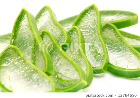 Slice Aloe Vera (Aloe barbadensis Mill.,Star cactus, Aloe, Aloin, Jafferabad or Barbados). Slice Aloe Vera (Aloe barbadensis Mill.,Star cactus, Aloe, Aloin, Jafferabad or Barbados). 12764650