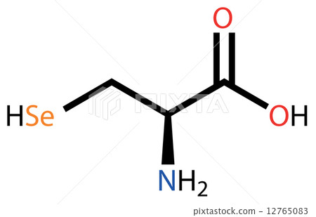 Amino acid selenocysteine structural formula 12765083