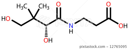 Pantothenic acid (vitamin B5) structural formula Pantothenic acid (vitamin B5) structural formula 12765095