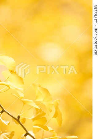 秋天的形象 秋天的形象 12765269