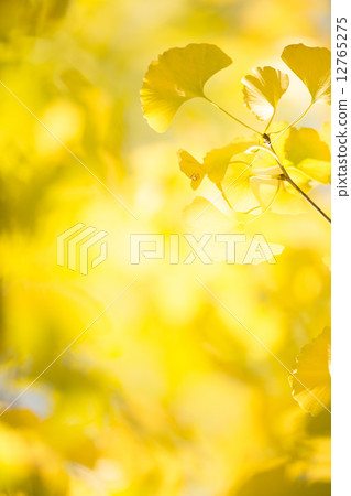 Fall image 12765275