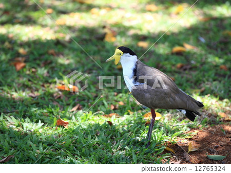 Counterbore 12765324