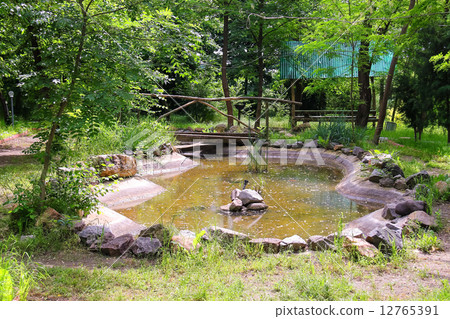 Artificial pond in the village park Artificial pond in the village park 12765391