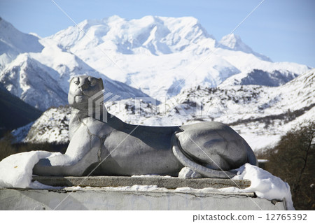 A stone old leopard against snow high mountain A stone old leopard against snow high mountain 12765392