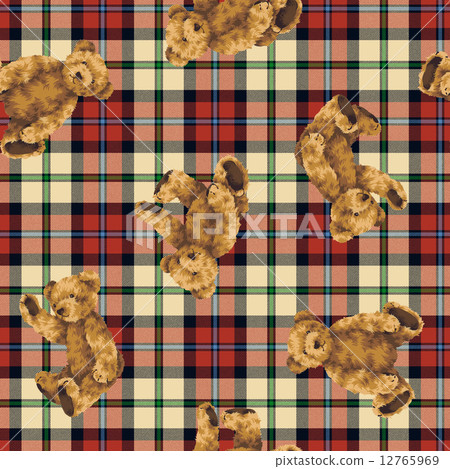 美麗的熊圖案 12765969