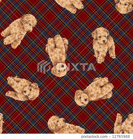 A handle of a cute dog A handle of a cute dog 12765988