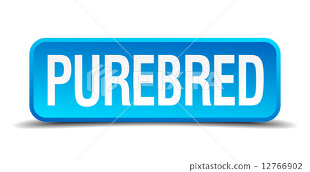 Purebred blue 3d realistic square isolated button 12766902