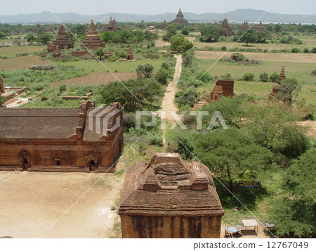 Pagoda group forested in the plain (Bagan / Myanmar) 12767049