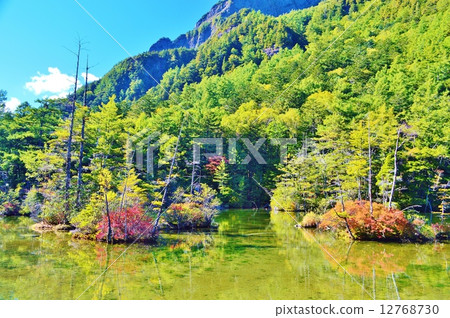 Elegant Mingesaki Pond that hits sunshine 12768730