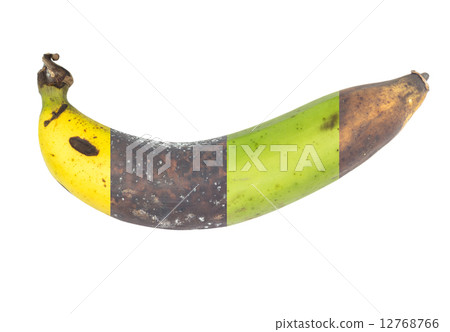 Banana 12768766