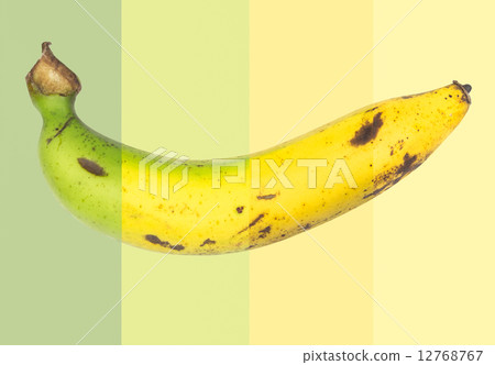 Banana Banana 12768767