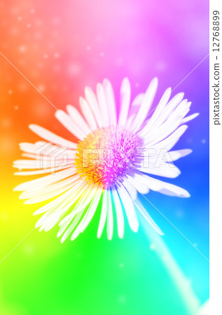 Single daisy flower on green bokeh background with sunshine. 12768899