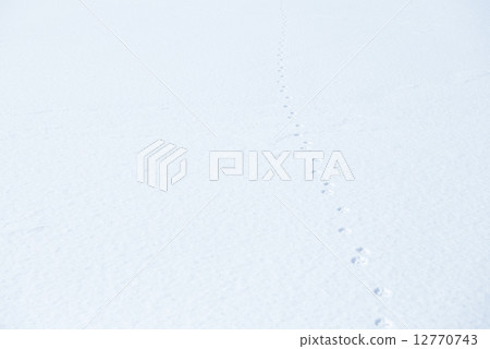 Snow background 12770743