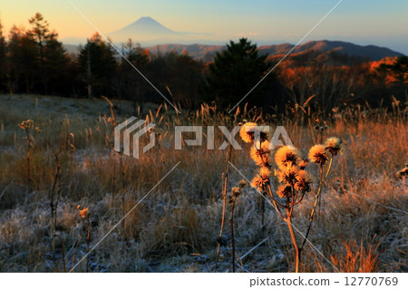 Fuji seen from near Oku Chichibu · Ganso Pass in late autumn Fuji seen from near Oku Chichibu · Ganso Pass in late autumn 12770769