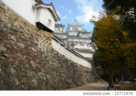 Himeji castle colored with autumn leaves 12771474
