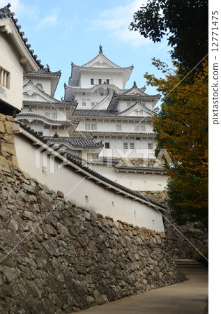 Himeji castle colored with autumn leaves 12771475