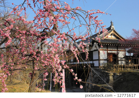 Yamatokoriyama城堡草甸李子和Omote門 Yamatokoriyama城堡草甸李子和Omote門 12771617