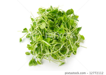 不要把手 不要把手 12772112