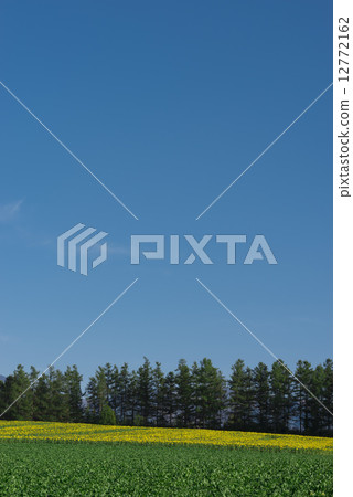 Agriculture  12772162