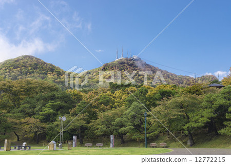 森林 森林 12772215