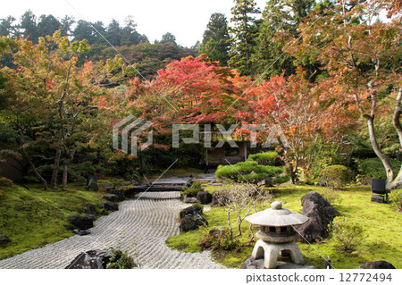 Yen visit Yen visit 12772494