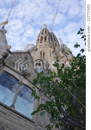 Sakurada Familia 12772503