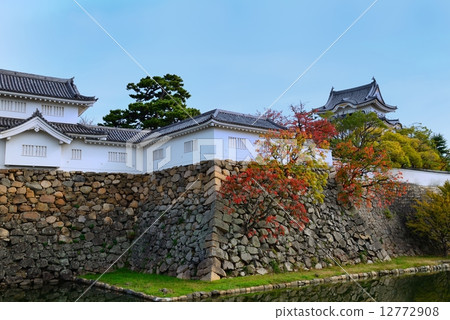 岸和田城秋葉 12772908