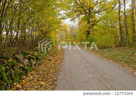 Countryroad with mossy stonewall 12773264